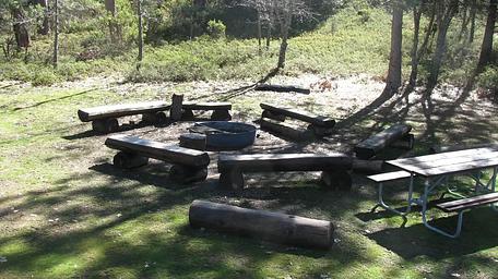 PGS, Loop: AREA PINES GROUP/STANISLAUS
