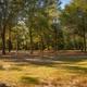 Wide, landscape view showing multiple RV hookups and open campsites among mature trees — good overall view of site layout and vegetation.