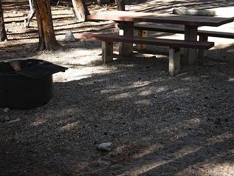 Basin Montana Campground