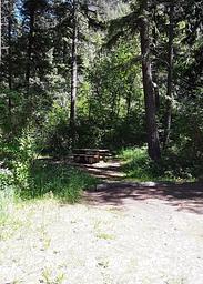 Trout Creek Campground (MT)