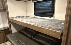 'Clementine' 2020 Cougar Half ton 34TSB ACO2090