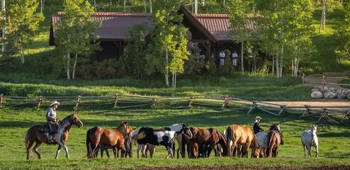 Vista Verde Guest Ranch