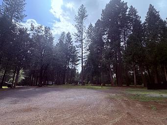 Fox Sparrow RV Resort and Campground