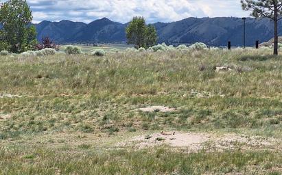 White Sandy Campground
