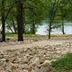 FLOAT CAMP PICNIC AREA