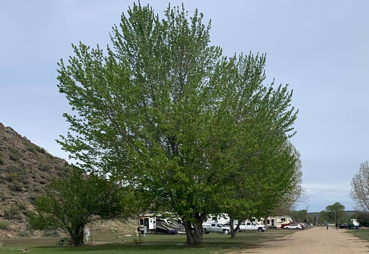 Sunny Ridge RV Park