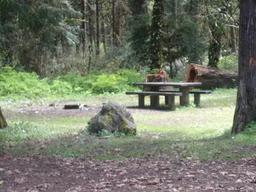 Black Canyon Campground