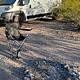 2022 RAM Promaster 2500  - Sleeps 2 - Off Grid