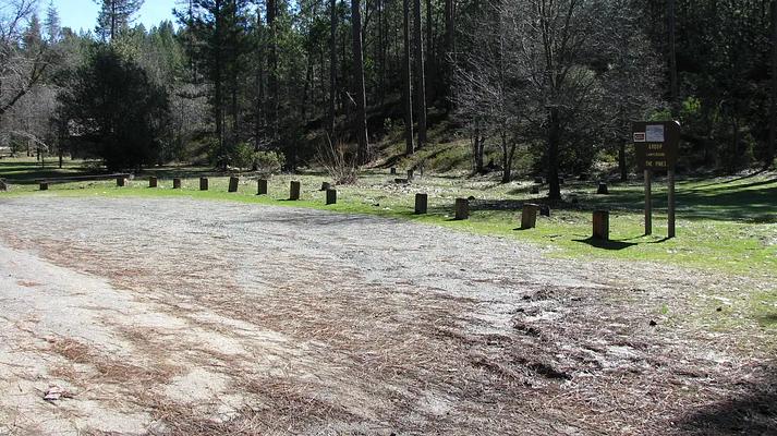PGS, Loop: AREA PINES GROUP/STANISLAUS