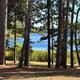 Clear on-site photo showing shaded lakeshore and campsites/grounds through pine trees; matches Indian Creek Recreation Area page image URL and depicts the park's water and wooded setting.