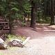 Campsite 4 in Spring Creek Campground.