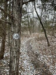 George Latham Trail at Woodridge Park