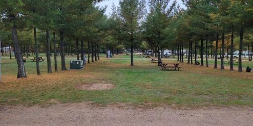 Picnic area with benches and trees.