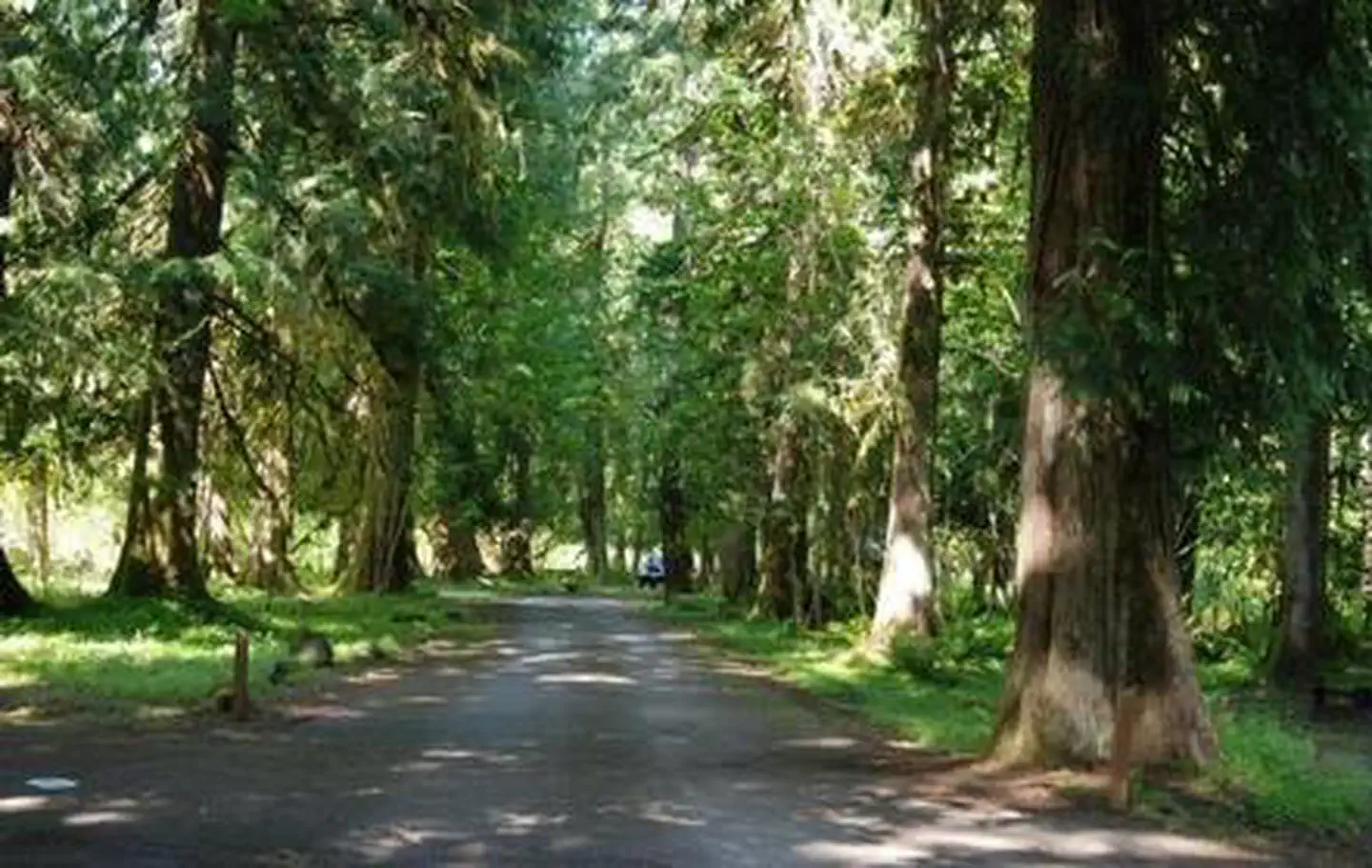 Tower Rock Campground