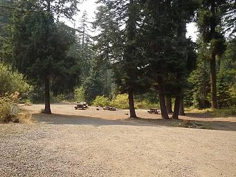 PINE NEEDLE GROUP SITE