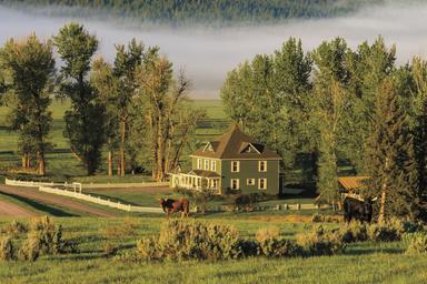 Wide farmhouse and pasture with horses and morning mist — strong property-wide scene showing built structures, pastureland and equestrian activity on-site.