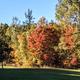 Photo showing mature trees and fairway in autumn colors — appears on the Membership page and highlights seasonal scenery on the property.