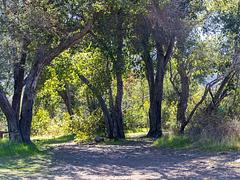 Holiday group Campground a