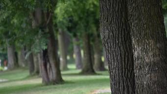 Tom Graham Memorial Campground