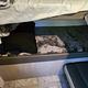 2024 Forest River RV Salem Cruise Lite T273QBXL RV rental photo 14