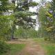 Picture of group camping area.