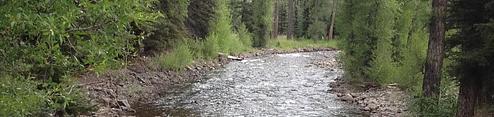 Elk Creek Campground (Rio Grande Nf)