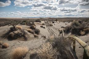 Lost Forest/dunes/fossil Acec