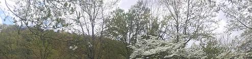 Rocky Bluff Campground