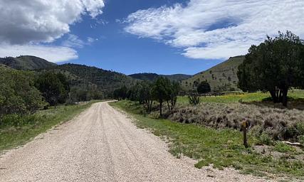 Gravel road accessing Guadalupe Mountains National Park in the Dog Canyon area. Green grass, trees and mountains surround the road. 