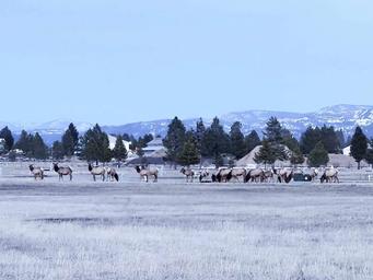 Lost Moose Meadows RV Campground