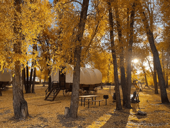 Covered Wagon Fall