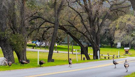 Fremont Campground 5