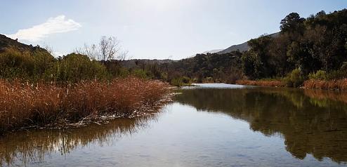 Sage Hill