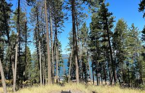 Montanas Adventures