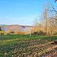 Curwensville Lake