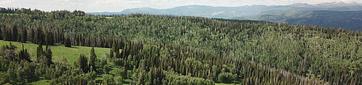 Wolf Creek (UT)