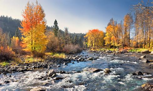 Truckee River RV Park