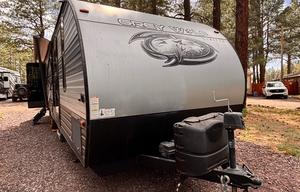 Dark Sky - 2021 Forest River Grey Wolf 29TE