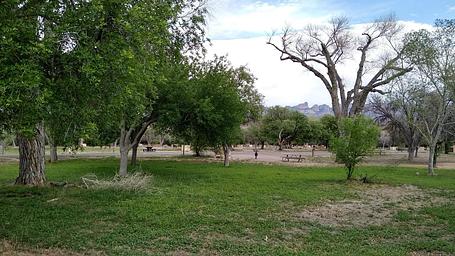 Rio Grande Village Group Campground (Big Bend, TX)