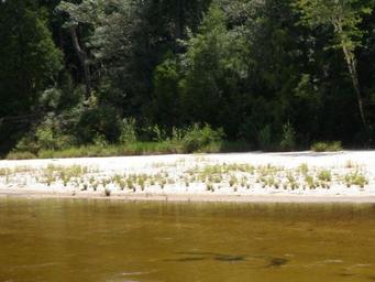 Campground image 3