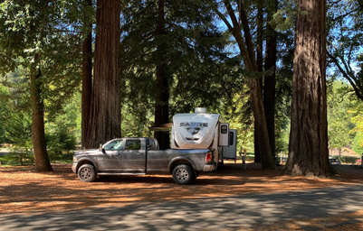 Giant Redwoods RV & Cabin Destination