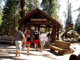 Sherman Tree Trail from the upper parking area.