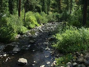 Evergreen Campground