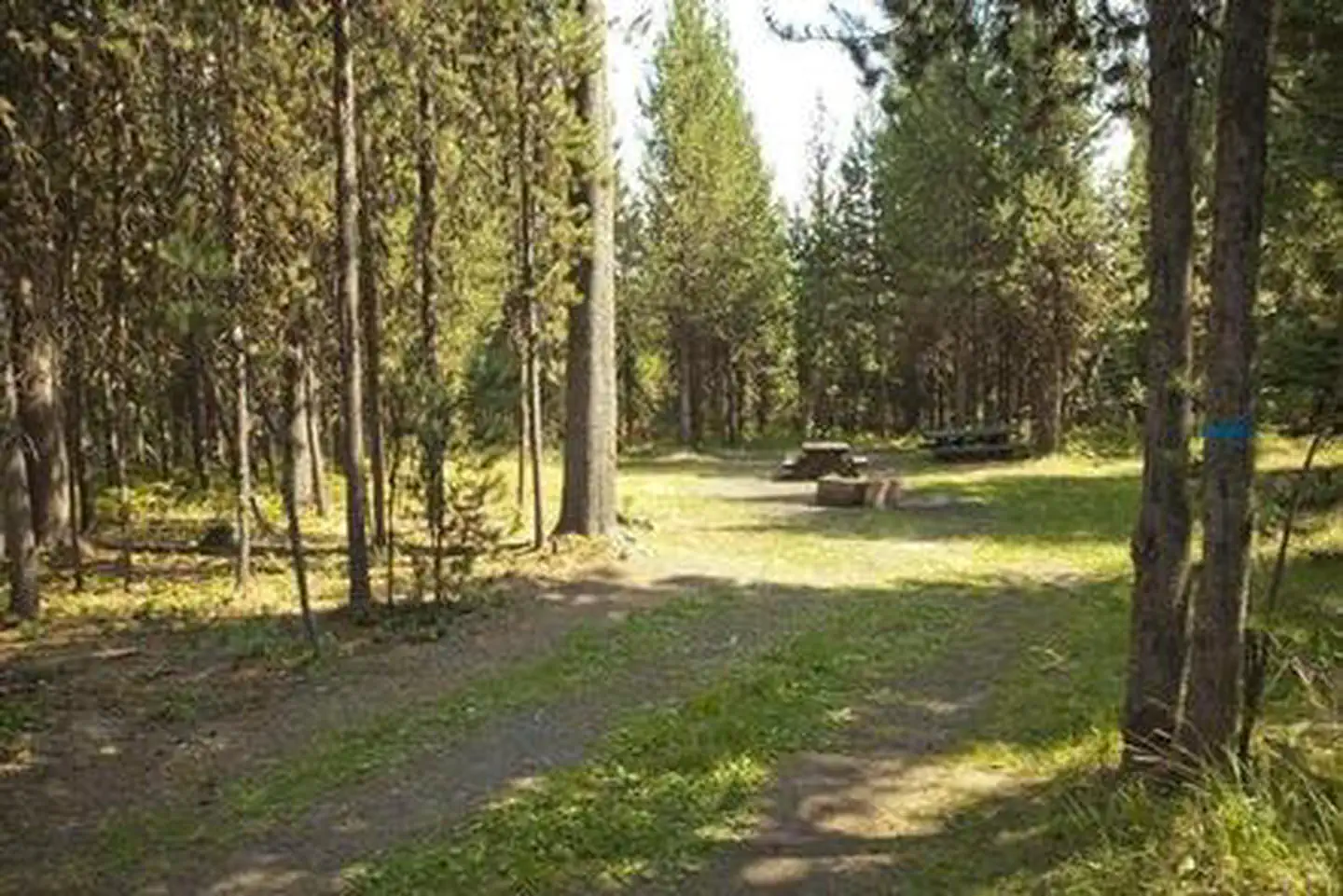 Cow Meadow Campground