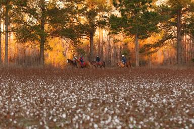 Campspot slideshow image 2