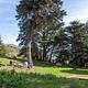 Side view of Bicentennial Campground. In the foreground is Site 1, to the left is Site 2, and in the background is Site 3. Through the cypress trees surrounding the campground, you can see the hills of the headlands.