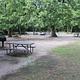 A picnic table and grill at the the Rock Creek Campground group site