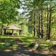 Group Picnic Shelter in sunlit glade of forested creek bank.