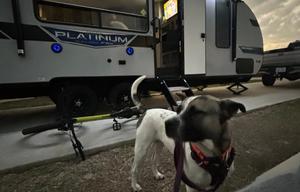 2022 Platinum Toy Hauler
