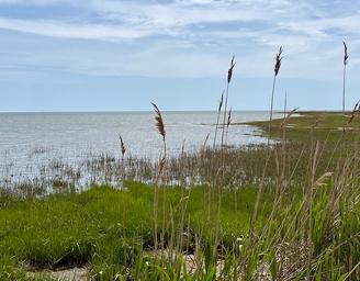 Thousand Trails Virginia Landing